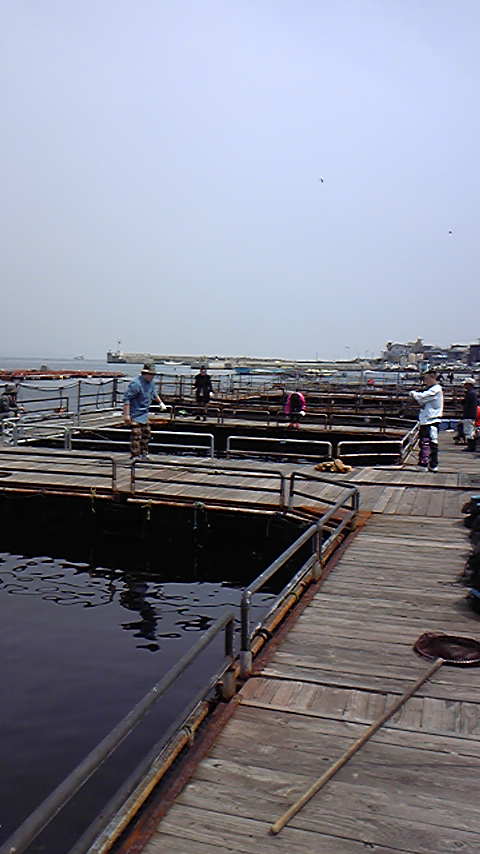 Tattoo Studio YOU              masa��-_-�ڂ₫