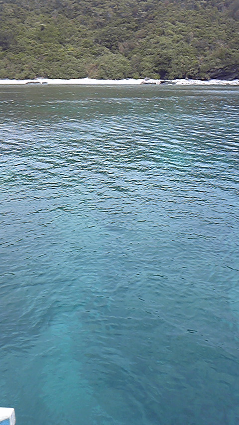 Tattoo Studio YOU              masa��-_-�ڂ₫