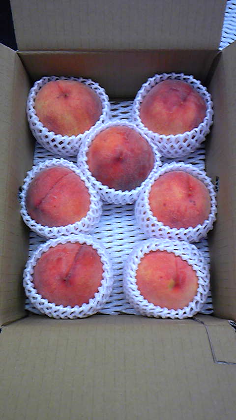 Tattoo Studio YOU              masa��-_-�ڂ₫