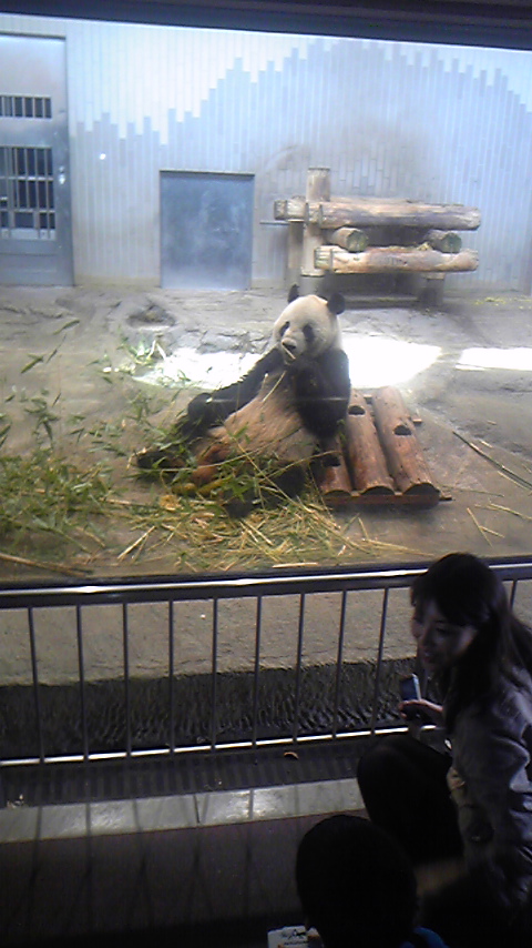 Tattoo Studio YOU              masa��-_-�ڂ₫