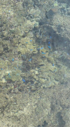 Tattoo Studio YOU              masa��-_-�ڂ₫