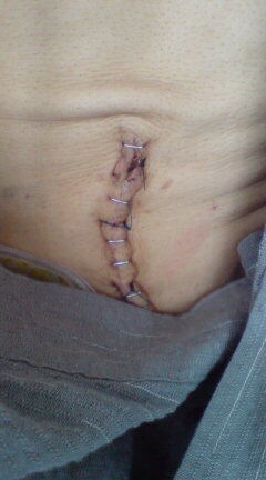 Tattoo Studio YOU              masa��-_-�ڂ₫