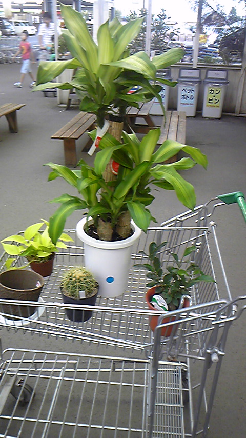 Tattoo Studio YOU              masa��-_-�ڂ₫