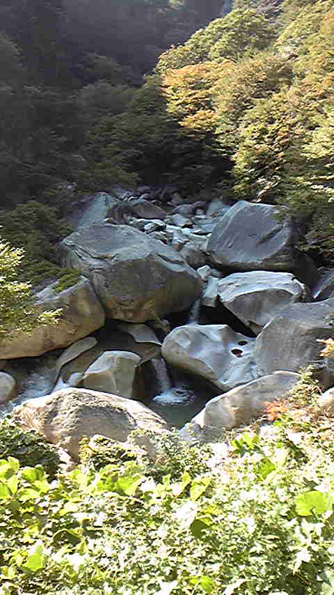 Tattoo Studio YOU              masa��-_-�ڂ₫