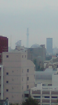 Tattoo Studio YOU              masa��-_-�ڂ₫