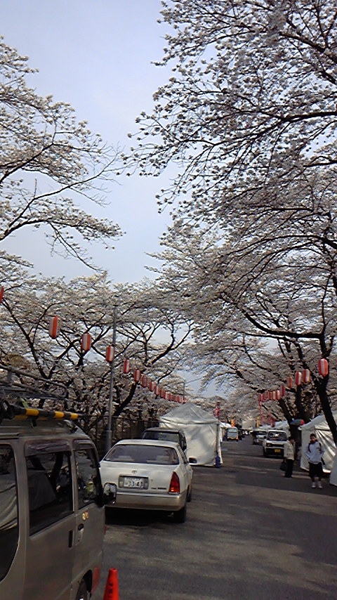 Tattoo Studio YOU              masa��-_-�ڂ₫