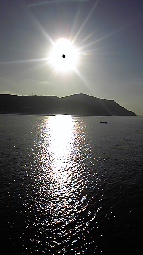 Tattoo Studio YOU              masa��-_-�ڂ₫