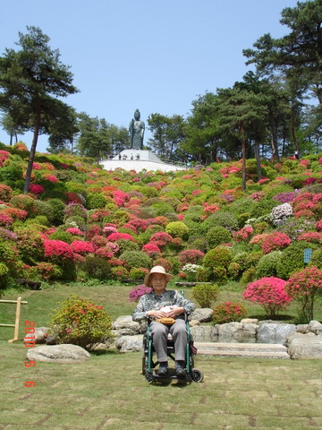 �A���{�X�@��