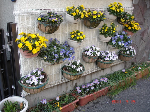 �A���{�X�@��