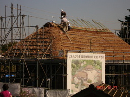 �A���{�X�@��