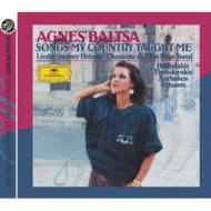 �A���{�X�@��