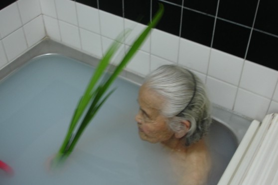 �A���{�X�@��