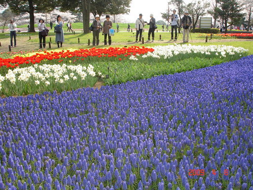 �A���{�X�@��