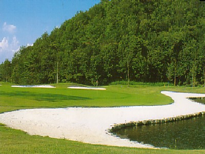 �A���{�X�@��