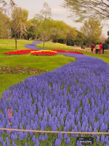 �A���{�X�@��