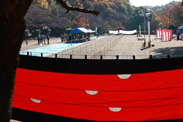 �� �� �T �� ��