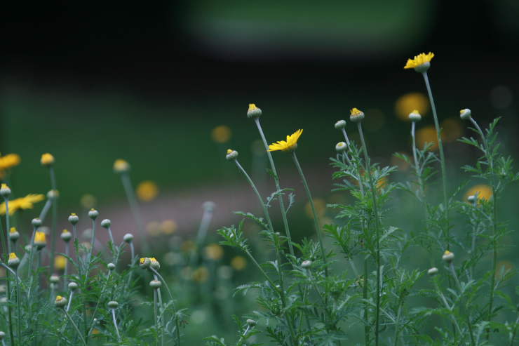 �� �� �T �� ��