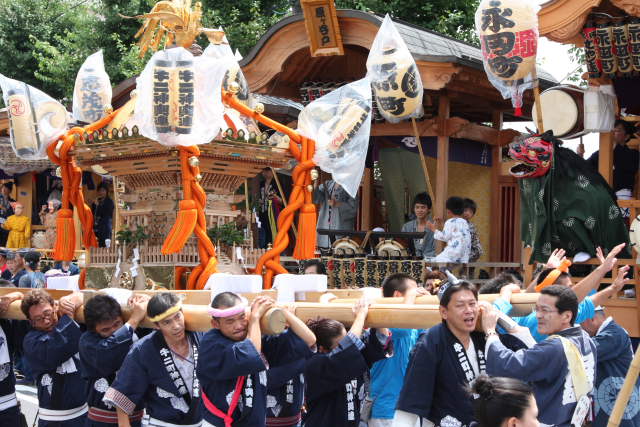 �� �� �T �� ��