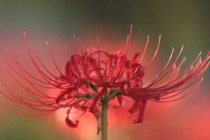 �� �� �T �� ��