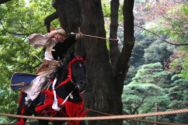 �� �� �T �� ��