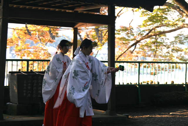 �� �� �T �� ��