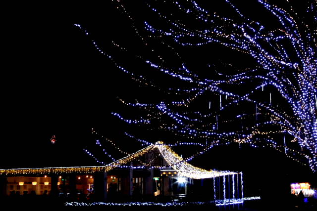 �� �� �T �� ��