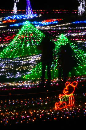 �� �� �T �� ��