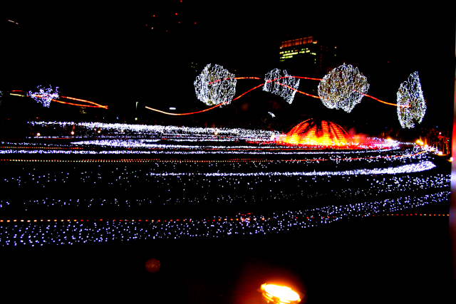 �� �� �T �� ��