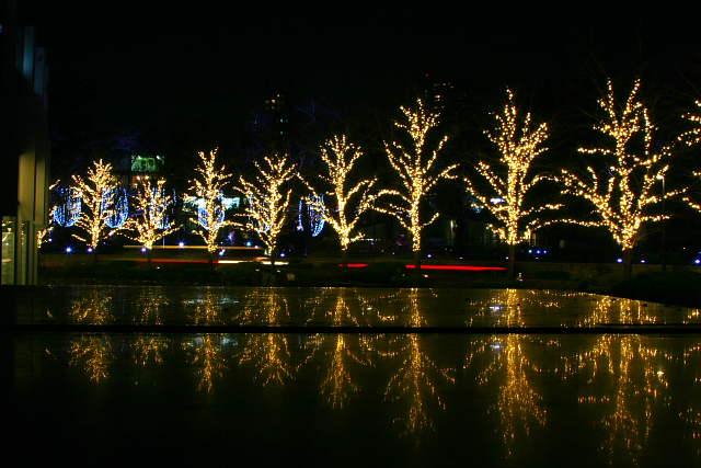 �� �� �T �� ��