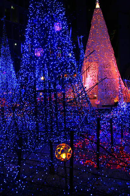 �� �� �T �� ��