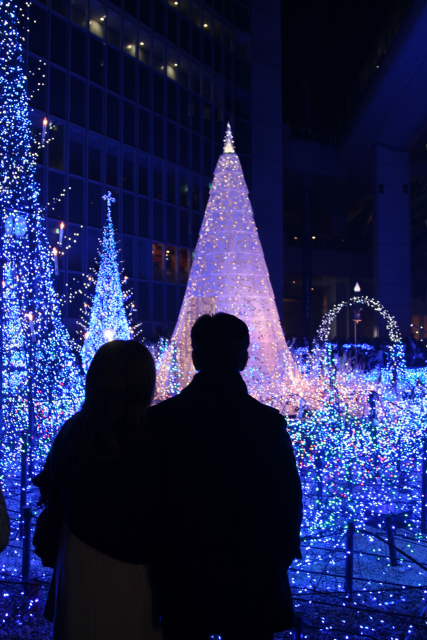 �� �� �T �� ��