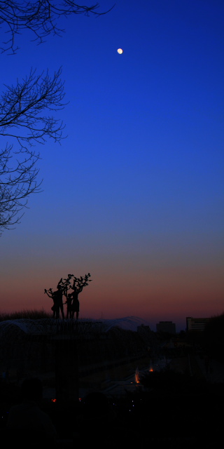 �� �� �T �� ��