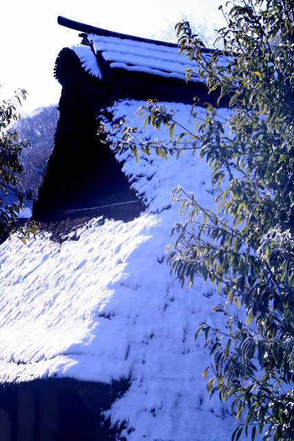 �� �� �T �� ��