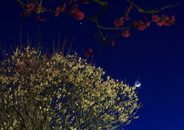 �� �� �T �� ��