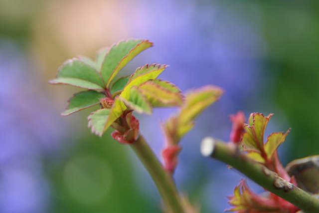 �� �� �T �� ��