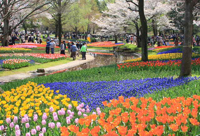 �� �� �T �� ��