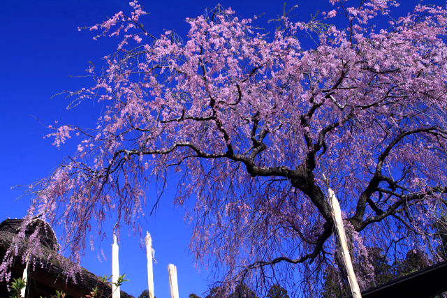 �� �� �T �� ��