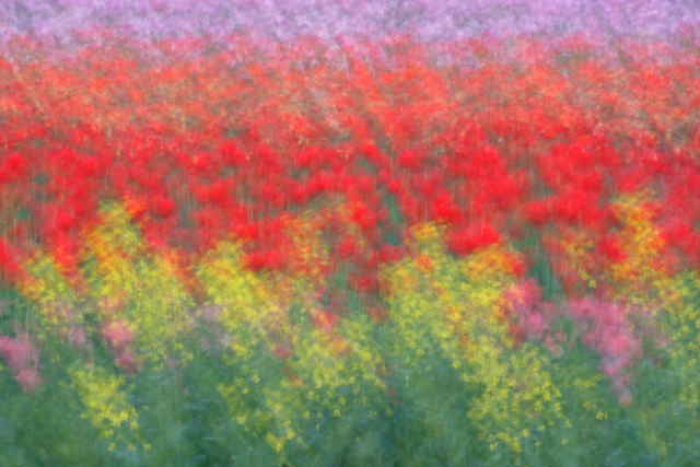 �� �� �T �� ��