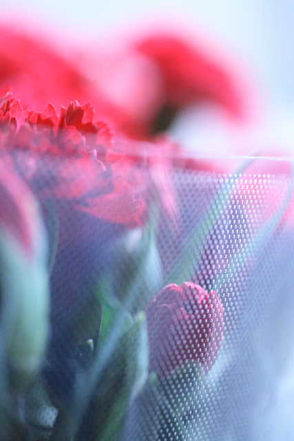 �� �� �T �� ��