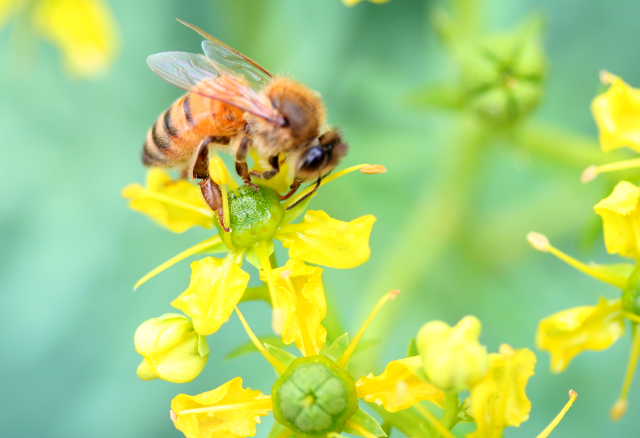 �� �� �T �� ��