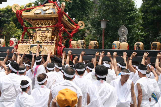 �� �� �T �� ��