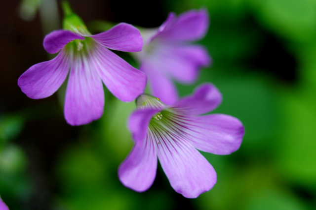 �� �� �T �� ��