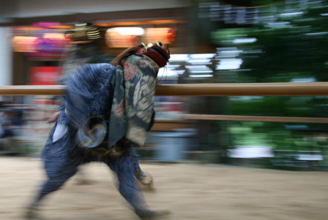 �� �� �T �� ��