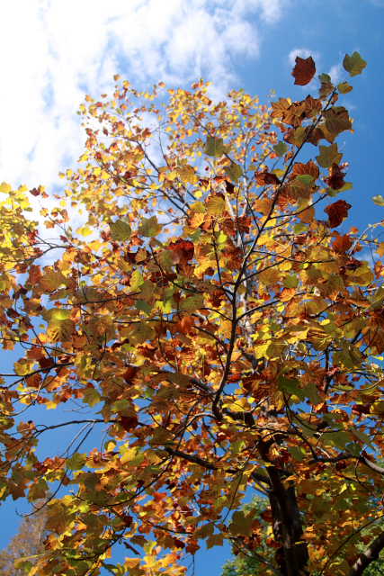 �� �� �T �� ��