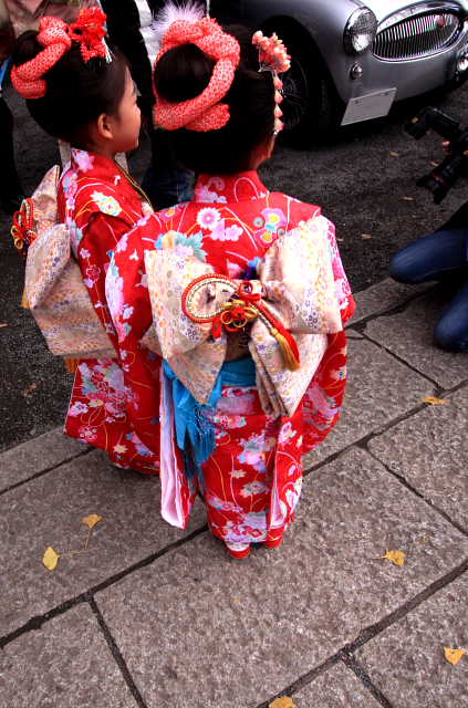 �� �� �T �� ��