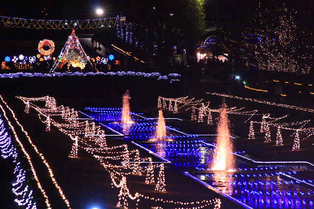 �� �� �T �� ��