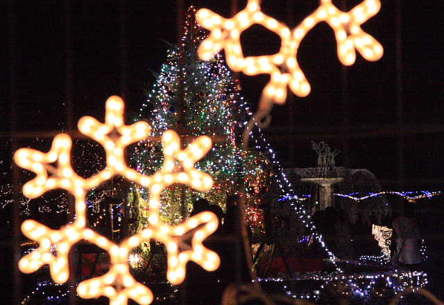 �� �� �T �� ��