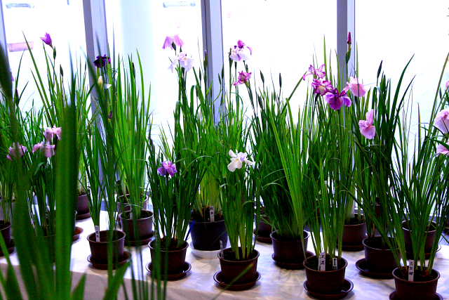 �� �� �T �� ��