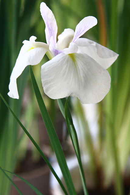 �� �� �T �� ��