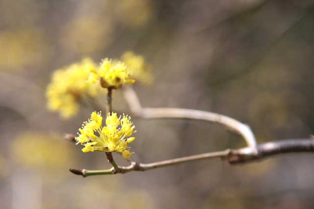 �� �� �T �� ��